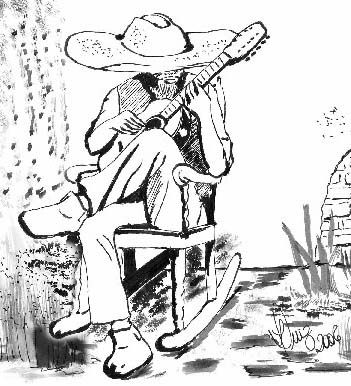 Viola de cocho 2
